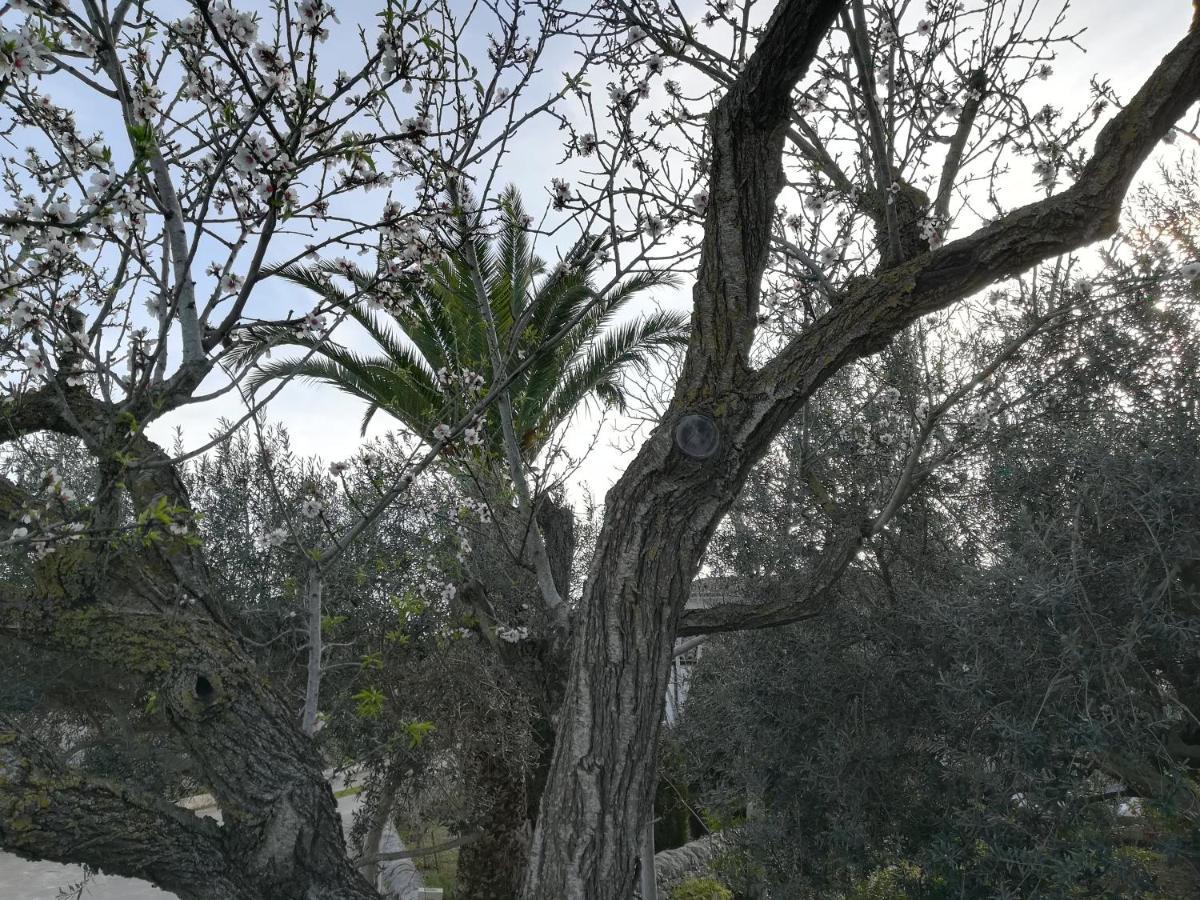 Casa Degli Avi Don Neli, Immersa Nella Natura 모디카 외부 사진